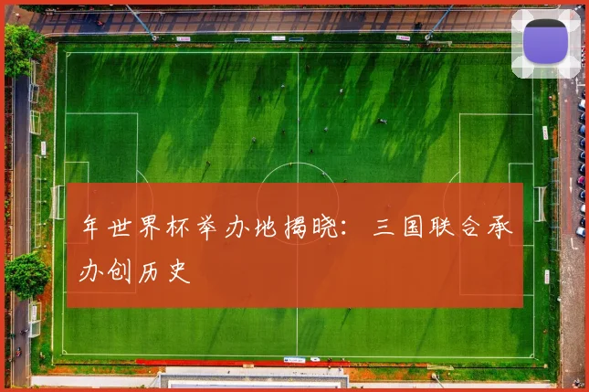 年世界杯举办地揭晓：三国联合承办创历史