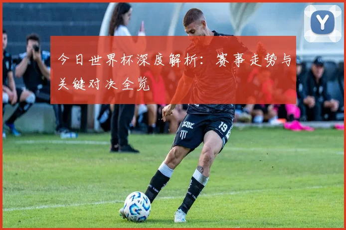 今日世界杯深度解析：赛事走势与关键对决全览