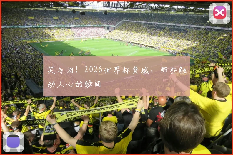 笑与泪!2026世界杯费城,那些触动人心的瞬间