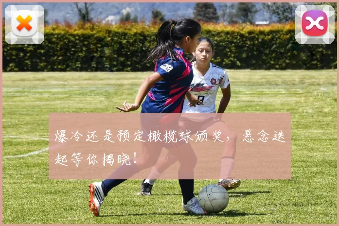 爆冷还是预定橄榄球颁奖，悬念迭起等你揭晓！