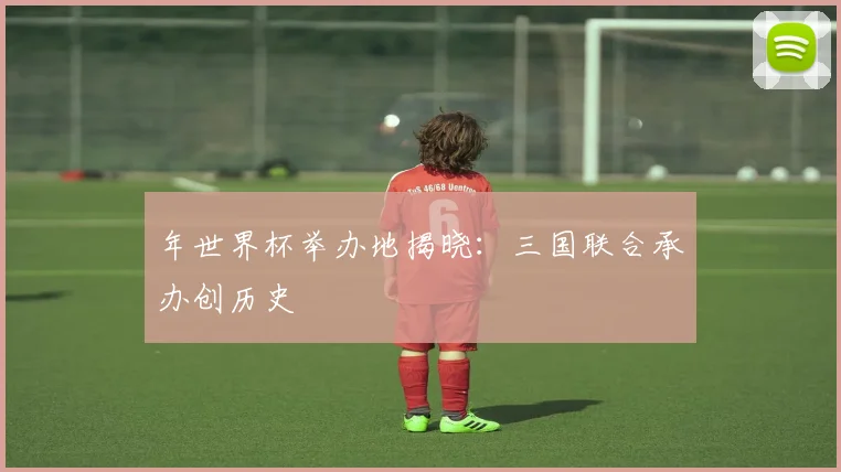 年世界杯举办地揭晓:三国联合承办创历史