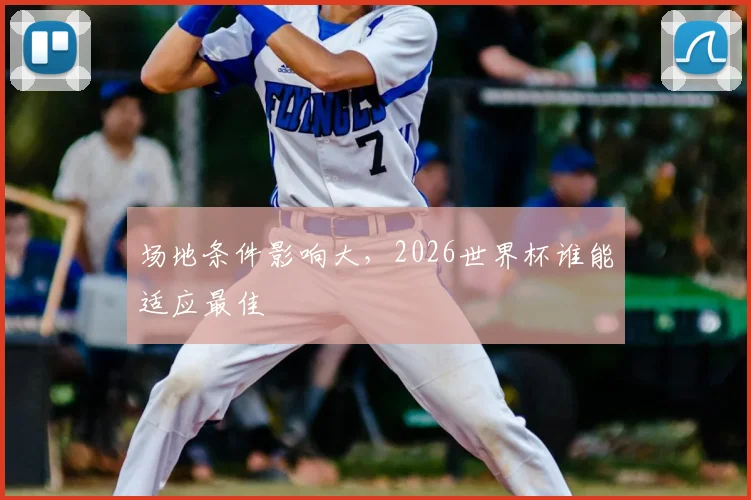 场地条件影响大,2026世界杯谁能适应最佳